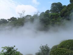 都内の雲海とアフタヌーンティー