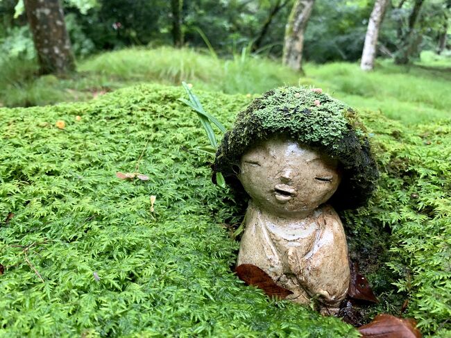 7月2日から4日までの二泊三日で梅雨時期の京都へ行って来ました。。<br />桜の時期と紅葉の時期、メチャメチャ暑い夏の時期には行っているのですが、梅雨時期の見所は紫陽花の他に何かしら?と思いたって出かけました!<br />食事を除いた旅費を節約して。。あっ!ホテルの朝食も抜きました(笑)<br />往路は羽田からマイルを使って伊丹へ。。<br />京都駅までのリムジンバスは1人1,340円<br />1日目の都シティ近鉄ホテルはツイン2人で5,775円<br />2日目のダイワロイネットもツイン2人で5,621円<br />復路は東京までちょっぴり贅沢に新幹線グリーンをスマートEX割で28,240円<br />旅費は合計で42,316円。。。ただ食費が(@_@;) ヒーッ!!<br />そんなこんなで梅雨時期の京都のあちこちを巡って来ました!!<br />梅雨時期の素敵な京都のご案内になれば良いなと思います(;^ω^)<br /><br />1日目前編は<br />雨の羽田空港から伊丹空港へ着くと雨は降っていなくてムンムンと東南アジアのような蒸し暑さの中リムジンバスで京都へ。。<br />到着後は京都駅直結の都シティ近鉄京都駅ホテルへ荷物を預け、烏丸線で国際会館前駅へ移動し19系統大原行きのバスで三千院を目指しました。。<br />お腹ペコペコで大原に到着して先ずは三千院の山門前にある京美茶屋さんでランチ。。<br />満腹後にようやく三千院へお邪魔しました。。<br />苔庭を堪能した後はバスで八瀬比叡山口駅へ。。<br />ここから叡山電車で出町柳へ向かって京阪に乗り換えて祇園四条へ移動しました。。<br />1日目は写真も多いので三千院編と夕食からの東福寺編の2編に分けました。<br />梅雨時期の素敵な京都のご案内になれば良いなと思います(;^ω^)<br /><br />拙い纏まりのない旅行記ですが、最後までお付き合い頂きご覧下さい。。<br /><br /><br /><br /><br />