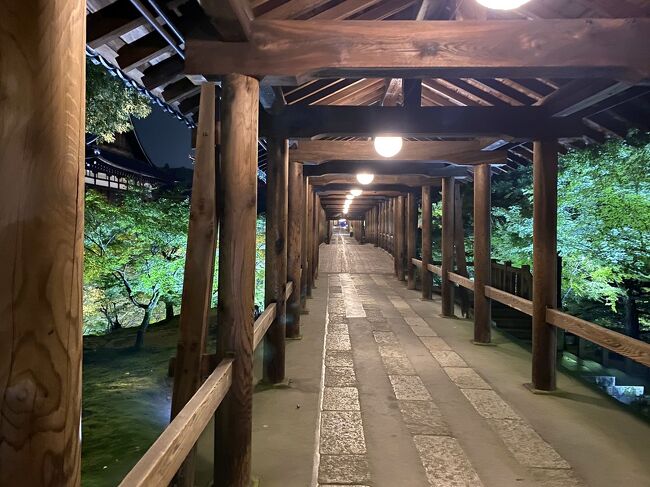 7月2日から4日までの二泊三日で梅雨時期の京都へ行って来ました。。<br />桜の時期と紅葉の時期、メチャメチャ暑い夏の時期には行っているのですが、梅雨の時期の見所は紫陽花となんだろう?と思いたって出かけました!<br />梅雨時期の素敵な京都のご案内になれば良いなと思います(;^ω^)<br /><br />一日目の続きです。。<br /><br />苔庭を堪能した後はバスで八瀬比叡山口駅へ、叡山電車で出町柳へ向かって京阪に乗り換えて祇園四条へ移動しました。。<br />河原町のsou・souさんを見たりして夕食は日本最古のエレベーターが残っている四条大橋の西橋詰にある東華菜館さんへ。。<br />食事中にトラベラーのフォートラベルユーザーさんが行かれた東福寺のライトアップの話になって、開場時間を調べて急遽東福寺へ。。とても素敵でした☆<br />のんびりとライトアップされた庭園と国宝の特別拝観を拝見させて頂いてホテルへ戻りようやくチェックイン。。。<br />お互い疲れちゃったのか瞬殺で夢の中へ(笑)<br /><br />1日目後編も写真が多くなってしまいましたので、流して見て頂いて結構です。。<br />拙い旅行記ですが最後までお付き合い頂きご覧下さい。<br /><br />