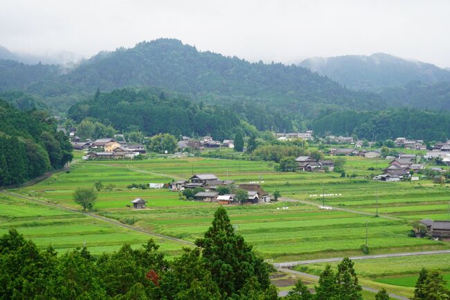 お城は翌日のお楽しみ？宿でもらった地図に、“農村景観日本一”なる展望台が記してありますな。お城より気になる…ってほどではないけれど、散歩の圏内かしらね？