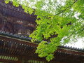 岩出・紀の川の旅行記