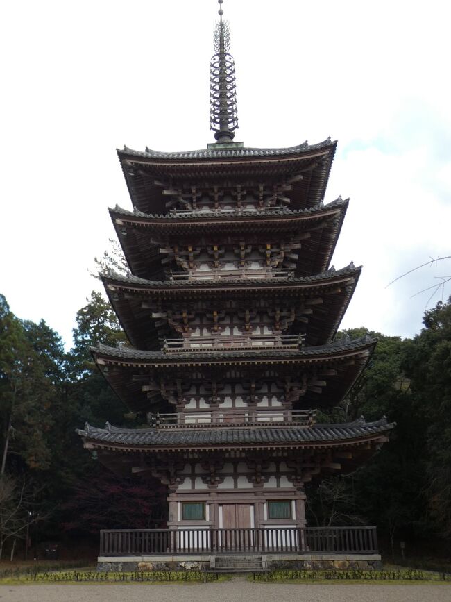 2020年11月30日(月)2時過ぎ、醍醐寺の下醍醐伽藍エリアに入る。醍醐寺は醍醐山(笠取山)全体を寺域とするが、山上を上醍醐、裾野を下醍醐と呼ぶ。下醍醐には国宝の金堂をはじめ、京都最古の木造建築物とされる五重塔など見どころが多い。<br /><br />三宝院の南側の参道(下の写真1)を東に進むと仁王門。西大門で、豊臣秀頼が金堂の再建の後、1605年に再建したもの。安置されている国の重文の仁王像は、元は南大門に祀られていたもので、平安後期の1134年に仏師勢増・仁増によって造立された尊像。体内の墨書、納札等に南大門から移された経緯などが書かれている。<br /><br />仁王門を入ると参道の両側に空き地が広がるが、北側は三宝院の前身の灌頂院が、南側は醍醐五門跡の一つの塔頭・無量光院があったところ(下の写真2)。<br /><br />参道は段差に突き当たり、いったん右に折れて緩い坂道を上り、さらに左に折れるクランク状になっているが、この高くなったところに建つのが国宝の金堂。醍醐寺中心のお堂で、安置されている薬師如来坐像が醍醐寺の本尊でこちらは国の重文。入母屋造本瓦葺き。正面7間、側面5間。<br /><br />現在の金堂は平安時代後期の建立で、秀吉の発願により紀伊国から移築したもの。1598年から移築を開始し、秀吉没後の1600年、秀頼の代になって落慶した。紀州国湯浅の満願寺本堂で、秀吉が紀州征伐を行った時、湯浅一帯を支配していた守護・畠山氏の家臣・白樫氏が満願寺一帯を拠点としており、その居城である白樫城と共に焼き討ちされようとしたが、醍醐寺座主が応仁の乱で大内氏に焼かれた醍醐寺金堂の再建を欲していたこともあり、満願寺の建築物を秀吉に差し出すことを条件にして焼き討ちが回避された。<br /><br />元の金堂は醍醐天皇の御願により926年に創建された建物で、当時は釈迦堂と云われていたが、鎌倉後期の永仁年間と室町時代の文明年間に2度焼失した。<br /><br />現在の金堂は平安時代のものだが、湯浅にあった鎌倉時代に改修を受けており、移築時の桃山時代の手法も混在している。組物が統一されておらず、正面が出三斗、側面と背面が平三斗という異例のデザインを持つのが特徴で、平三斗は創建当時のもの、正面の出三斗は鎌倉時代の補修の際に付け加えられたものと考えられている。立ちの高い入母屋屋根は近世風で、移築時の改修。<br /><br />内部にはご本尊の薬師如来坐像と日光菩薩・月光菩薩と四天王像を安置する。堂内は内陣と外陣(礼堂)の境に結界や間仕切りがなく、一体の空間とする点に特色がある。<br /><br />金堂の正面、参道の反対側の東側に建つのが国宝の五重塔。京都府下最古の木造建造物で、京都に残る数少ない平安時代の建築物。初層の内部には両界曼荼羅や真言八祖が描かれており、日本密教絵画の源流をなすものとして重要であり、塔本体とは別に「絵画」として国宝に指定されている。<br /><br />高さは約38mで、屋根の上の相輪が約13mあり全体の3割以上を占め、安定感を与えている。屋根の逓減率が大きく、塔身の立ちが低いため、後世の塔のような細長いプロポーションとは異なる。前に枝垂桜があり、桜の時期には絵になるだろうなあ(下の写真3)。<br /><br />931年にその前年に亡くなった醍醐天皇の冥福を祈るために第三皇子の代明親王が発願し、穏子皇太后の令旨で建立が計画された。しかし、937年の代明親王の死去などの影響で工事は停滞し、朱雀天皇が引き継ぐも、村上天皇の951年、発願の20年後に完成した。<br /><br />創建以来修理を重ねたが、特に1586年の天正地震では一部の軒が垂れ下がるなどの甚大な被害を受けたため、秀吉の援助で1598年に修理が完成している。1950年のジェーン台風でも被害を受け、1960年に修理が完成した。<br /><br />五重塔の正面には清瀧宮がある。醍醐寺の総鎮守清瀧権現を祀る鎮守社。毎年4月1日から21日まで清瀧権現桜会として様々な法要が行われている。拝殿は1599年に義演僧正により建てられたもの。拝殿の西側にある本殿は1097年に、最初に建立された上醍醐より分身を移されたが、その後兵火により焼失。現在の社殿は1517年に再建されたもので、国の重文(下の写真4)。<br /><br />金堂の一段上(東側)、五重塔の北側にあるのが不動堂。入母屋造の本瓦葺で、堂内には不動明王を中心に五体の明王を奉安している。また、堂前の護摩道場では、当山派修験道の柴燈護摩が焚かれ、世界平和など様々な祈願を行っている。<br /><br />不動堂のさらに1段上にあるのが真如三昧耶堂。真如苑の開祖・伊藤真乗が興した密教法流「真如三昧耶流」を顕彰するため醍醐寺により1997年に建立されたもので、金色の涅槃像を祀る。元々は朱雀天皇の御願により創建された法華三昧堂が建っていたが、1470年に焼失した。<br /><br />真如三昧耶堂から参道に戻り少し先に進んだ左手にある祖師堂は、1605年に義演准后により建立されたもので、真言宗を開いた弘法大師・空海と、その孫弟子で、醍醐寺を開創した理源大師・聖宝とが祀られている。弘法大師の誕生日である6月15日には、降誕会が行われる。<br />https://www.facebook.com/media/set/?set=a.5975155915887716&amp;type=1&amp;l=223fe1adec<br /><br /><br />下醍醐奥の大伝法院に進むが、続く