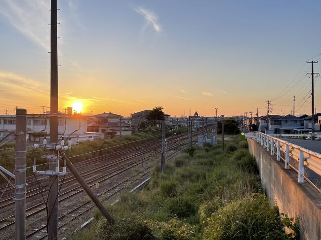 今年の夏は暑いなぁ