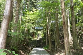 初夏の信州旅行♪　Vol.15 ☆別所温泉：安楽寺の美しい参道♪