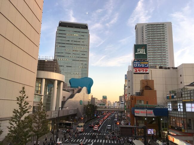 2019年、東京の展望台巡りをしていました。<br />ついでに京急の商業施設・ウィングを利用していました。<br />関連施設は京急沿線に10個弱あります。<br /><br />年明けの新橋から始まり、各地のウィングに行きました。<br />残すところは上大岡と久里浜の2か所のみ。<br />現在ではこの間に新店舗の金沢文庫ができています。<br />ウィング金沢文庫の開業は、この翌年になります。<br /><br />今回の上大岡では、駅の周辺を散策してきました。<br />街中には珍しいアート作品が点在していました。<br />期せずしてパブリックアート巡りになりました。<br />