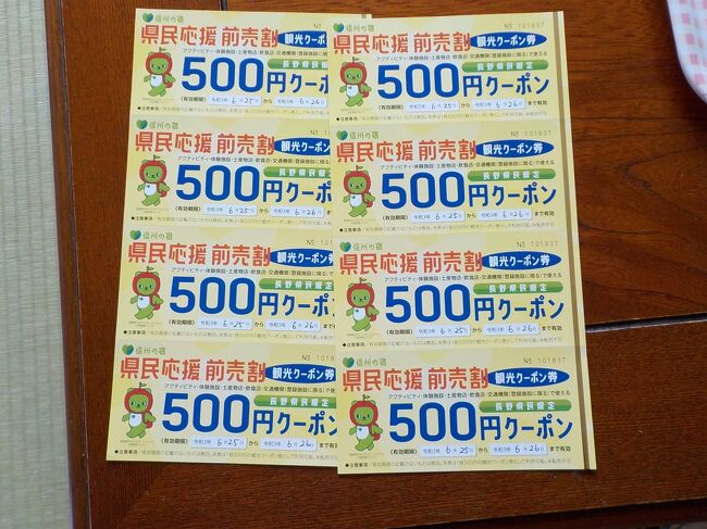 信州前売り券は、旅行会社か、ホテルで買うことができる前売り券でした。しかしこちらは諏訪にあり、買いに行けません。電話で前売り券を買う前提で、予約をしました。現地で支払いです。<br />前売り券一人５０００円分を２千円で購入、すわ割２０００円引き<br />１泊２食、一人６５００円。３０００円＋２０００円引き。支払いは１５００円。別に観光クーポンが２０００円分付くので、実質＋５００円でした。