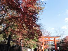 コロナの紅葉の京都