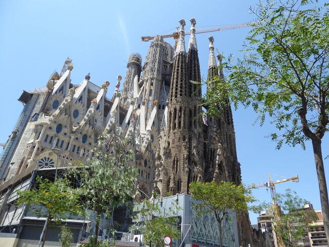 パンデミック後のサグラダファミリア 2021年7月 バルセロナ スペイン の旅行記 ブログ By バルセロナ観光さん フォートラベル パンデミック後のサグラダファミリア 2021年7月 バルセロナ スペイン の旅行記 ブログ By バルセロナ観光さん フォートラベル