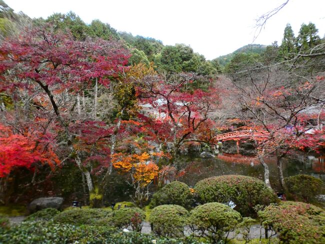 京都 醍醐 醍醐寺 大伝法院(Daidenbo-in, Daigoji Temple, Daigo, Kyoto, JP)