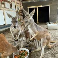 【須坂市動物園篇】七味を買いに長野県へ行ってきた①