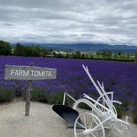 ラベンダー咲く北海道旅行