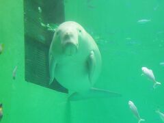 鳥羽・伊勢水族館旅①鳥羽水族館