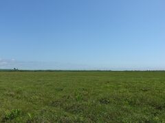 【２泊３日　蝦夷梅雨の釧路　ひとり旅】北国の大湿原と湖巡りの巻　1日目