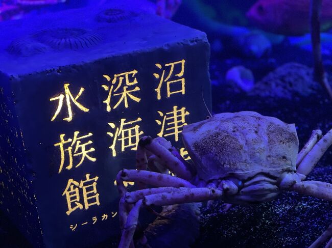 1泊2日！沼津港深海水族館＆御殿場アウトレット