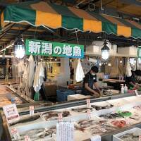 ひっそりと新潟「新潟市・小出（魚沼）」