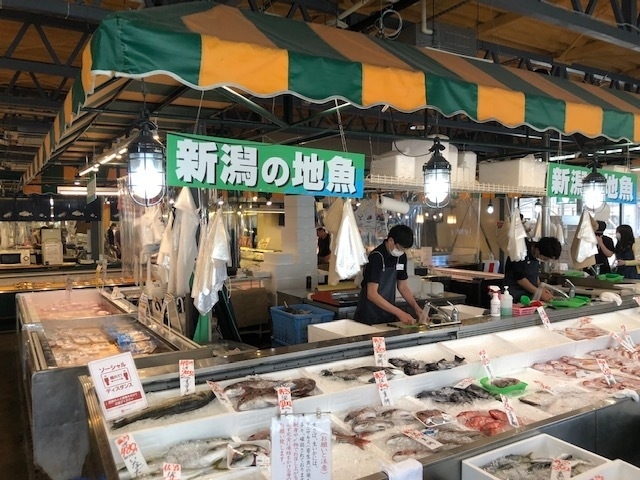 ひっそりと新潟「新潟市・小出（魚沼）」