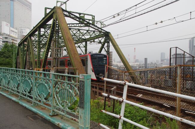7月11日(日)は、泉岳寺駅より歩き始めました。まず、泉岳寺と赤穂義士のお墓へお参りしました。<br />品川の旧東海道沿いはたくさんの神社やお寺が有りますね。お参りしながら、南下しました。蒸し暑く疲れる散策でした。青物横丁駅近くの「品川寺」(ほんせんじ)の大きなお地蔵様を拝み、ここで旧東海道は折り返しました。<br />青物横丁の長崎飯店という中華屋で味噌ちゃんぽんを食べました。すごいボリュームでしたが、おいしかった。<br />午後は、ちょっと雨後で臭かった目黒川沿いの山手通りの辺りを歩き、大崎の居木(いるき)神社、五反田駅北側の池田山公園等を巡りました。下町から山の手へ上がってきました。目黒駅北西の東京都庭園美術館へ行き、建築鑑賞と美術鑑賞をしました。<br />目黒川が削った地形を実感する散策でした。始終梅雨どきの曇天で、いずれもパッとしない写真になっちゃいました。<br />鳴り始めた雷を避けて、目黒駅より帰途に就きました。