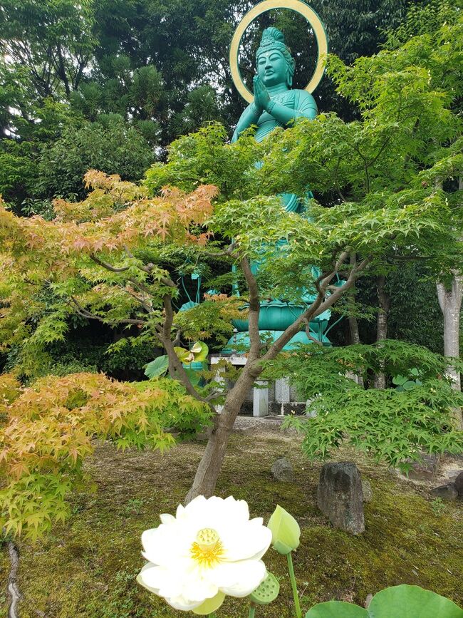 喜光寺に続き、ロータスロード第二弾で、西大寺へ行ってきました。<br />大好きな財善童子さまにお会いできて、心が洗われました。<br /><br />向かいのガトード・ボワの美味しい世界一になったケーキ、アンブロワジーで１人カフェもしちゃいました(^^)/<br /><br />４日前に亡くなった心友を思いながら、一緒にコロナが落ち着いたら行こうねって言ってたガトードボワ、一緒にいるつもりで。