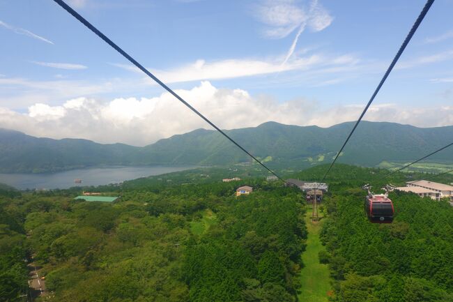 8か月ぶり、お久しぶりの投稿です。<br />ステイホームを続けていました。<br />そしてこの間結婚をして、生まれ育った東京を脱出し、近県に引っ越しをしました。<br />勤め先は都内のままなので、近県を発車する上り列車の通勤地獄を味わっていたところ妊娠が発覚しまして、コロナ禍で進展したテレワークを活用する日々です。<br />安定期に入り、かつ東京再宣言前の今がチャンスとばかりに、箱根旅行へ行ってきました。結婚後初の旅行で、いわゆる新婚旅行になりました。<br />新婚旅行はモルジブに行きたいなぁーと夢を描いていた時代もありましたが、お隣の県となりました笑<br />モルジブは、世界に平穏が訪れたらいつか・・・。<br /><br /><br /><br />