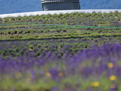 滝野霊園