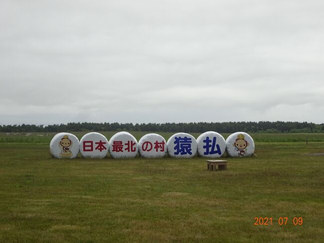 　今回の旅の目的は、２０１９年７月２日～８日まで道央・根室方面・紋別方面の旅をしました。その後に稚内に移動して小樽方面を計画していましたが、急な用事が出来てしまい、途中で帰らざるを得なくなってしまいました。<br />　その為本来行くべき場所に行けませんでしたので、今回時期を見計らって（私たち二人のコロナワクチン接種も６月中に２回終了）出かける事にしたのです。<br />　前編は振出しに戻って紋別からスタートし稚内までの旅記を、そして中編は利尻島・礼文島の観光後旭川までの旅記となります。<br />　最後の後編は旭川を出発して、美瑛・富良野を散策し小樽観光後帰路までの旅記となります。感染対策を自身でしながら、又気をつけながらの楽しい思い出の旅をする事が出来ました。