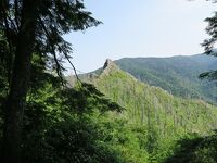 Great Smoky Mountains グレイトスモーキーマウンテン国立公園 トレイル歩き（１）