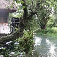 初夏の梅雨どき、上高地へのぶらり旅