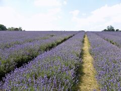 2014年7月  イギリス旅行記後編