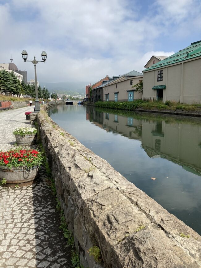 私は大阪在住の独身中年女性。今回が3度目の北海道旅行です。これまでの2度の旅行は、友人と二人でさまざまな野生動物に出会える野山をめぐりました。夜はフクロウが鳴き、シカが目を光らせる場所にテントを張ってキャンプし(または簡素なログキャビンで眠り)、日中はトイレなどもちろんない山や湿原の奥深くを馬で探検したり、広すぎる北海道では運転に疲れながらも、鳥を見るために遠くまで車をとばしたりなどなど、ただひたすら野性味あふれる旅でした。思えば、北海道のタウンをゆっくり観て回ったことなど一度もありません。<br /> そこで今回の一人旅では、自然はそこそこにして、街歩きを楽しめる有名な観光地、かつ車がなくても観光を楽しめるところに行こうと計画しました。そしてこの条件にピッタリだったのが小樽。嬉しいことに、7月は小樽産のウニがおいしくいただける時期でもありました。<br /> 旅のプランとしてよくある、札幌+小樽とかの組み合わせは考えず、張り付くようにして小樽市だけに滞在した私の旅の4日間の記録が、これから小樽を旅する皆さんの参考になれば幸いです。
