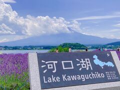 [山梨県]  ラヴェンダー香る　夏の富士山♪