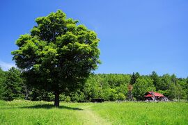 「北の国から」40周年、五郎さんに会いに（麓郷編）　北海道旅2021夏vol.1