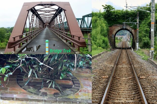 三重県北部~滋賀県南部・東部~岐阜県南西部を巡る旅、後半です。<br /><br />その1はこちら⇒https://4travel.jp/travelogue/11700760