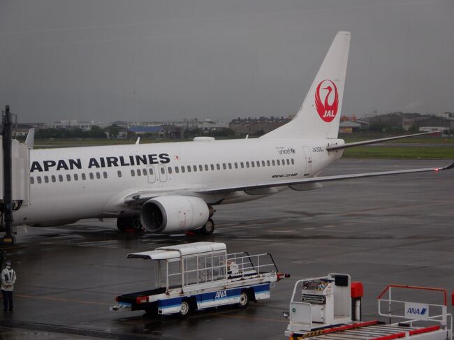松山空港からはＪＡＬ４３４便に乗り、今回の旅を終えました。