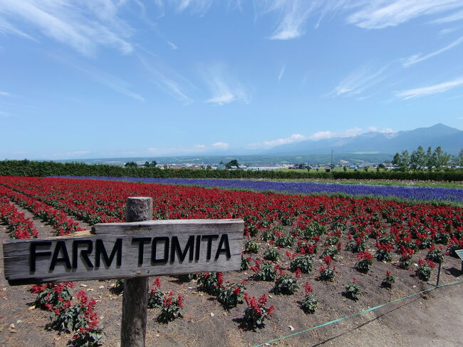 いつか行ってみたかった夏の富良野<br />北海道はよくわからないのでバスツアーで巡って来ました<br />私は気ままなレンタカーの旅が好きですが<br />父と母は勝手に見所に連れてってくれるバスツアーが大好きです<br />いつも誘っても来ない父が<br />「北海道なら俺も行く」と。<br />しかも旅費も出してくれるって！<br />ラッキー\( ˆoˆ )/