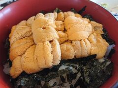 フリーきっぷだけで行く夏の道央①　余市でウニ丼食べるだけ