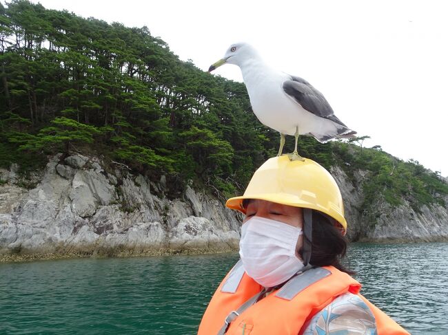 2日目浄土ヶ浜パークホテルを出て、青の洞窟（さっぱ船遊覧）に向かう。その後、魚菜市場でお土産を買いました。<br />帰る途中、本州最東端の魹ヶ埼灯台へ向かうが、道路が土砂崩れ等で悪く、歩くのにも時間が掛かりそうなので断念する。三陸自動車道で釜石に立ち寄り、自宅に戻る。