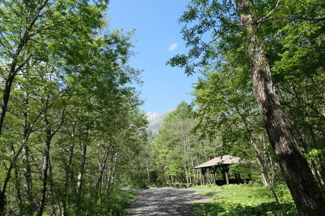 初夏の信州旅行♪　Vol.74 ☆上高地：昼下がりの優雅な散歩♪