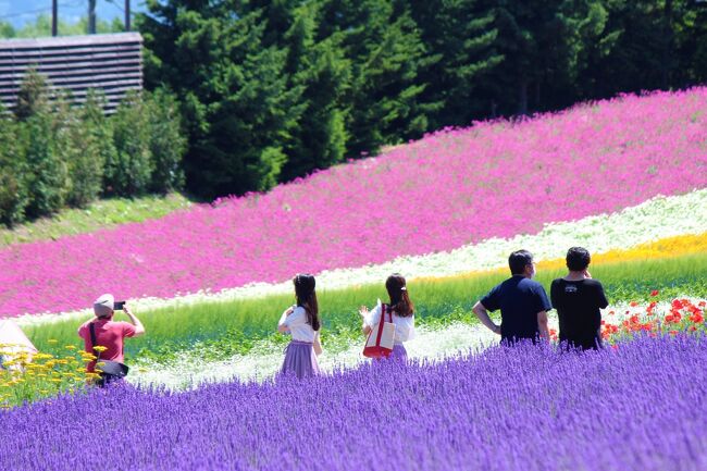 2021.7　花色に染まる美瑛富良野②　レインボーカラーに癒されて　ファーム富田