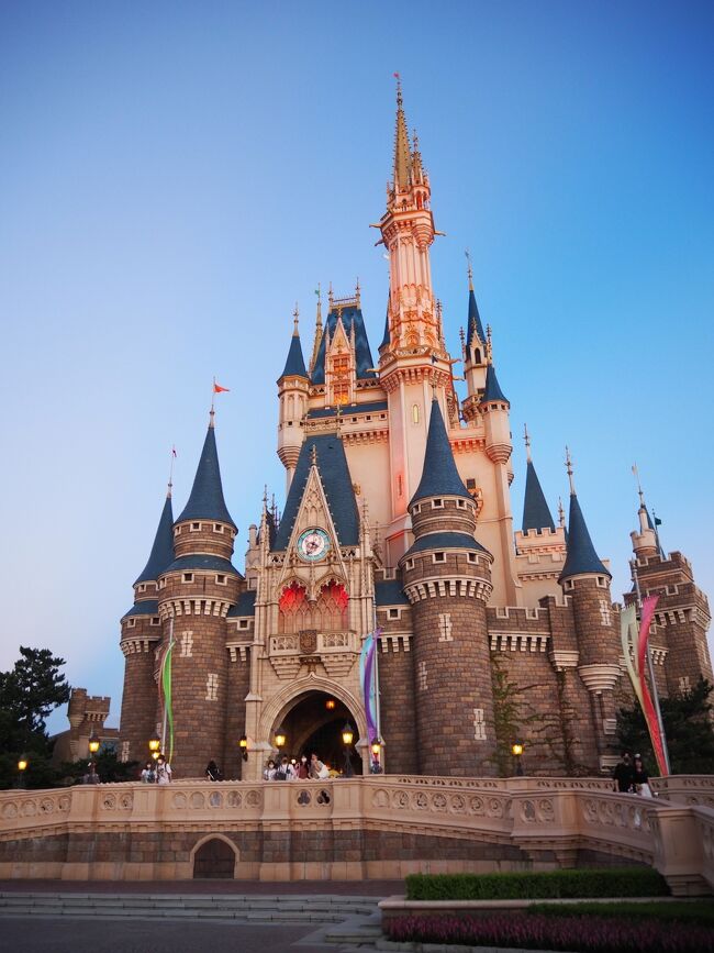 21 7月 1年9か月ぶりのディズニーランド 東京ディズニーリゾート 千葉県 の旅行記 ブログ By Yumi7さん フォートラベル