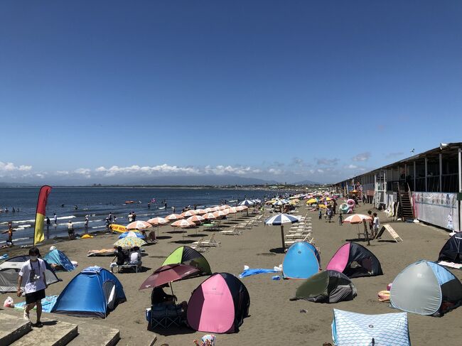 梅雨が明けて最初の日曜日、前日に茅ヶ崎と辻堂の海水浴場で海開きし、今年も湘南に夏がやってきました。<br />茅ヶ崎のサザンビーチちがさき海水浴場から、ビーチ沿いを歩いて片瀬東浜海水浴場まで2時間、湘南の海を散歩を楽しみました。<br /><br />茅ヶ崎市;<br />サザンビーチちがさき海水浴場 → ヘッドランドビーチ → 汐見台海岸 <br /><br />藤沢市;<br />→ 辻堂海水浴場 → 片瀬西浜・鵠沼海水浴場 → 片瀬東浜海水浴場<br /><br />鎌倉市;<br />→ 腰越海水浴場<br />