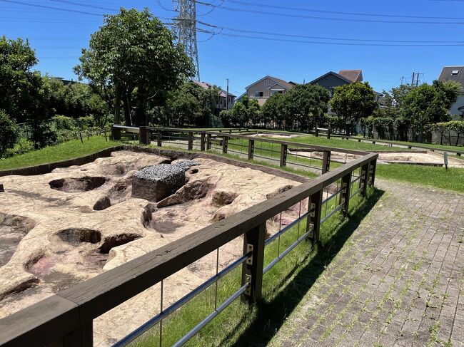 先日知った取掛西貝塚のことがもっと知りたくなって飛の台史跡公園博物館へ。