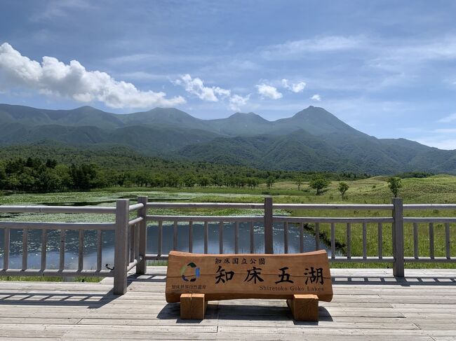 二年前JALどこかにマイルで釧路へ<br />一泊二日という弾丸で阿寒湖や摩周湖、知床ウトロに行きました<br />知床では天候に泣かされ、予約していたクルーズも高波のため欠航、濃霧のためフレペの滝遊歩道も行かれず、知床五湖は何にも見えず…<br />リベンジを誓いました<br />絶対クルーズでヒグマを見る!<br />そして今回は羅臼でシャチを見る!の目的も追加<br />野生動物との出会いを求めて旅立ちました<br />夫婦二人旅<br /><br />羅臼で一泊、ウトロで一泊、最後の日は網走を観光