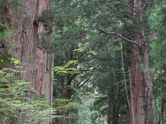 20210719-1 戸隠 奥社まで、杉並木を眺めたり登ってお参りしたり