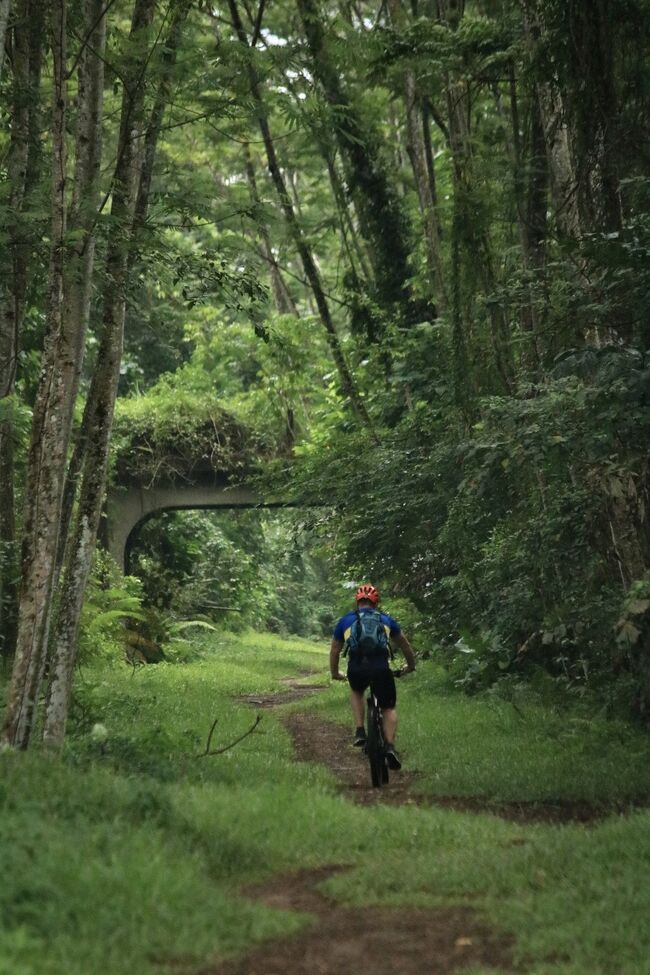 旧マレー鉄道跡の北部のルートをトレッキングしてみました。途中北欧の森を歩いてるような気分になった場所があって、不思議な感覚でした。<br /><br />数日前は夢の中でポンポン船でマレーシアに渡った夢を見て目が覚めてからガックリ。なんやかんや言いつつ、閉塞感を感じてストレスになってるんだなあと自覚。<br /><br />今日みたいに気分転換をしてストレスを軽減していかなくちゃなあ。