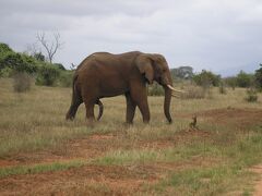 南半球一周、アフリカ　１　　Boat trip around The Southern Hemisphere,  Africa1