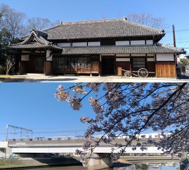 越谷・草加散歩 ～大間野町旧中村家住宅と綾瀬川桜並木