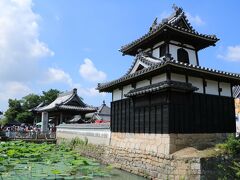 安城の歴史あるお寺に咲く清楚な白いハスとマルシェ♪＆白いハスは西山公園にも♪