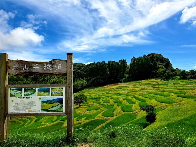 久しぶりの一泊旅行<br />本格的な夏休みが始まる前に、平日休みを取って<br />短い夏休みを楽しみました。<br /><br />青々とした、稲穂が揺れる大山千枚田。<br />楽しい工夫いっぱいの道の駅、保田小学校。<br /><br />里山にある一軒宿の緑水亭で、のんびり温泉と<br />海の幸を堪能しました。<br /><br />最後に、余計な一枚あります…<br />