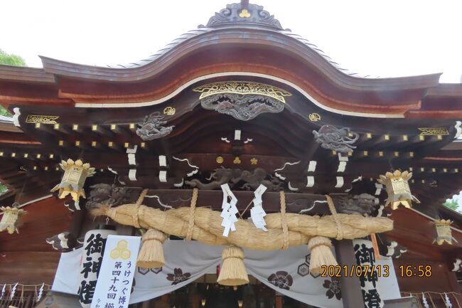7月13日、午後5時頃に櫛田神社に到着しました。<br />7月15日の追い山笠の櫛田入りはお祭りのクライマックスですが、今年は開催されないとのことです。。<br /><br /><br />◎櫛田神社について・・・説明文による<br />博多祇園山笠が奉納される神社で、飾り山笠が一年中展示されています。博多っ子からは「お櫛田さん」の愛称で親しまれている，博多の総鎮守です。祭神は正殿に大幡主命（櫛田宮）・左殿に天照皇大神（大神宮）・右殿に素戔鳴尊（祇園宮）の三神で拝殿には３つの鈴が並んでいます。<br /><br /><br /><br />*写真は櫛田神社の拝殿