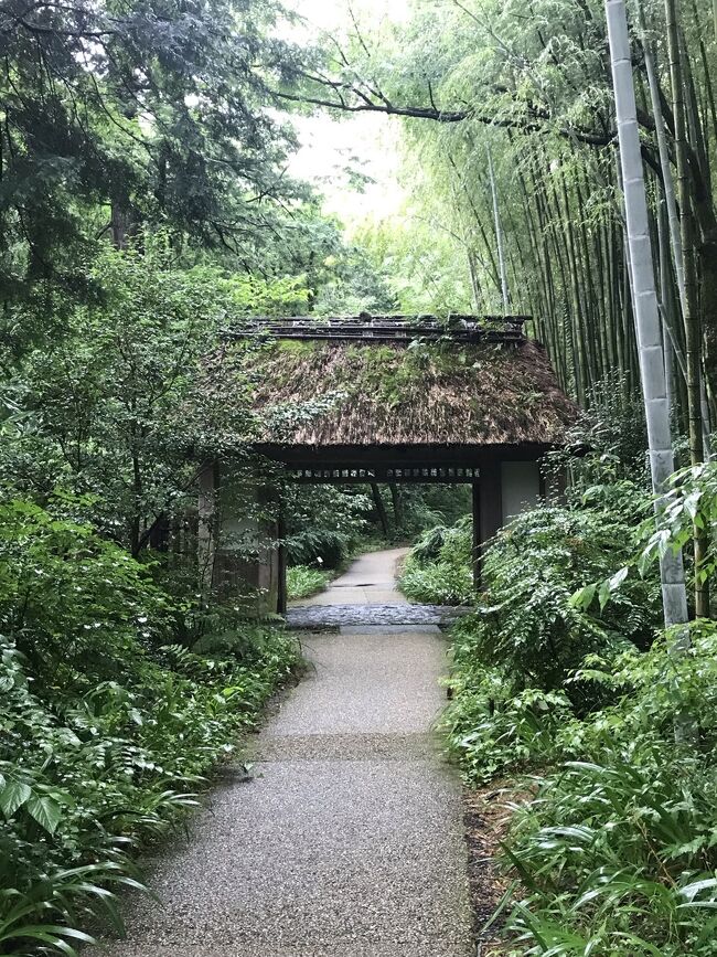 息子(次男)が住んでいる御殿場。<br />コロナ禍になり御殿場行きを予定してキャンセルする事2回。<br />緊急事態宣言が解除されて兵庫でも感染者がかなり減り、オリンピック始まればまた感染者増えてくるだろうと予想して行くなら今!と思って三度目の正直で御殿場に行って来ました。<br /><br />御殿場から帰って来て2週間以上経過しているので旅行記を書いております。